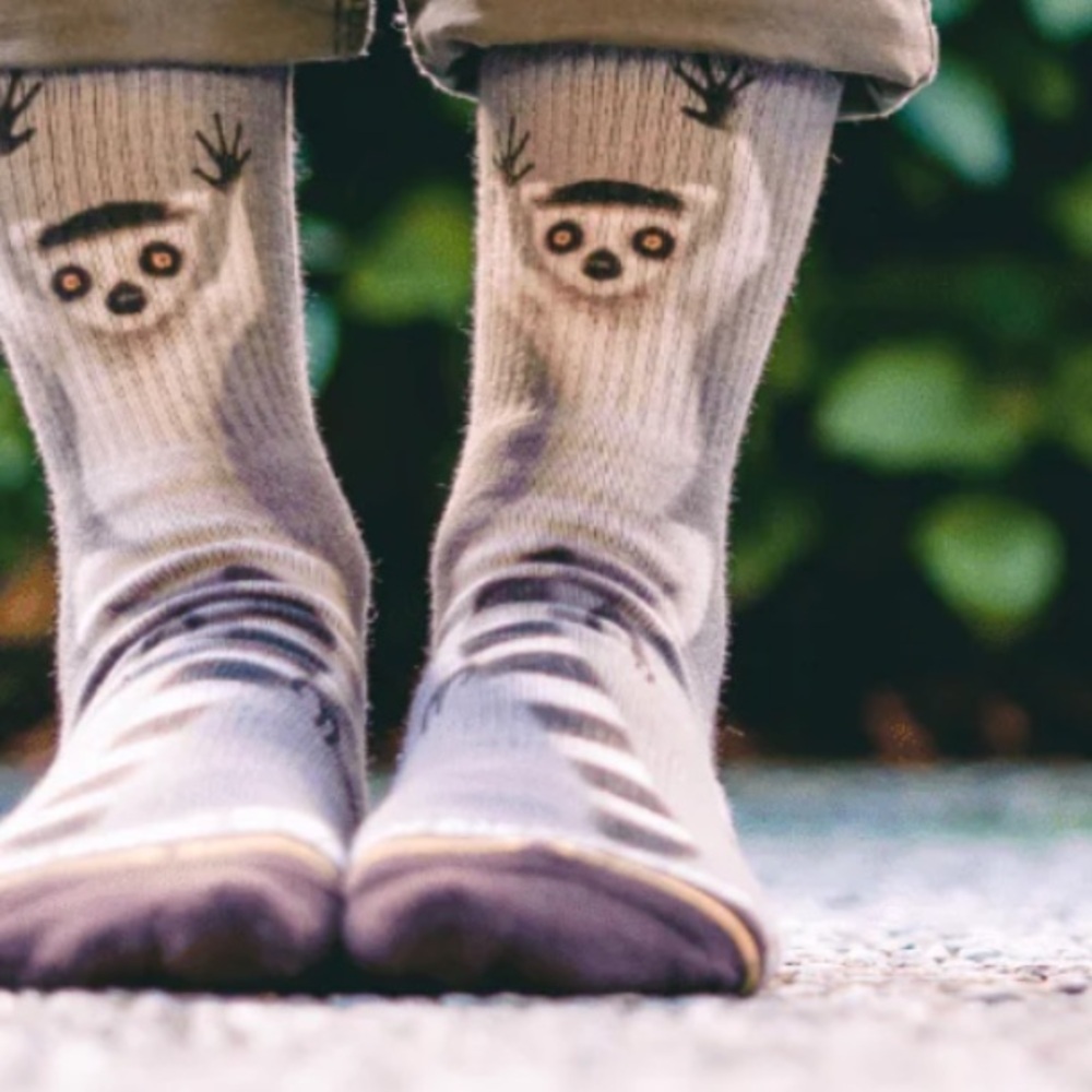 Merge 4 NWT SAN DIEGO ZOO RING-TAILED LEMUR CREW SOCK Large M 9-12 / W 8-10